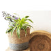 Grey Jute Planter Cum Storage Basket (S,M,L)-Planters-House of Ekam