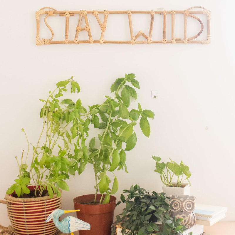 Stay Wild Wall Art Quote-Quotes-House of Ekam