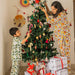 Zero Waste Mini Tree Christmas Ornament Set of 2-Ornaments-House of Ekam
